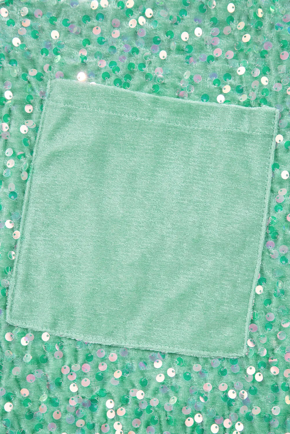 Moonlight Jade Sequin Batwing Sleeve V Neck Velvet Blouse