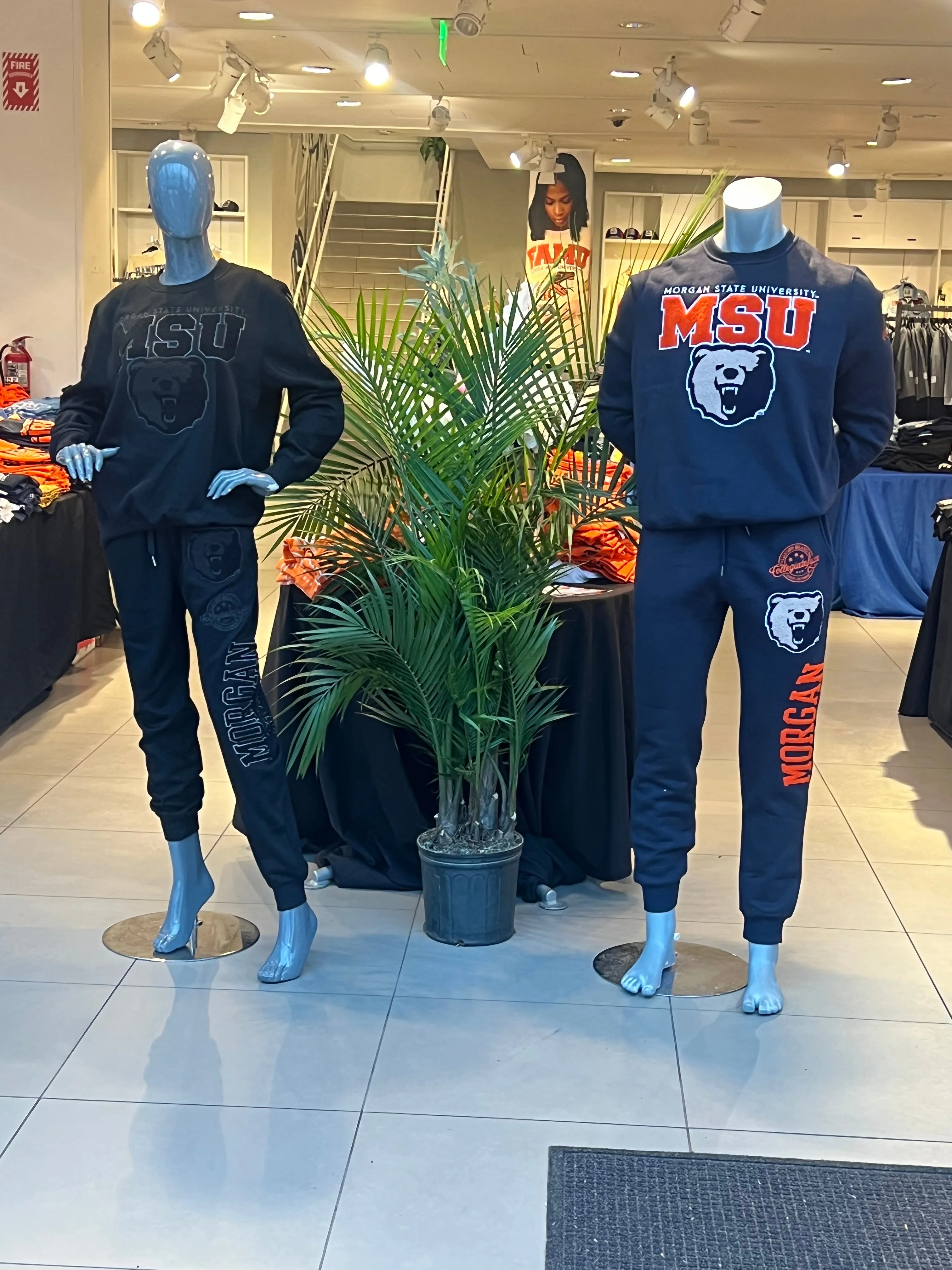 MORGAN STATE COLOR  Chenille Embroidery  Sweatshirt & Joggers -aja