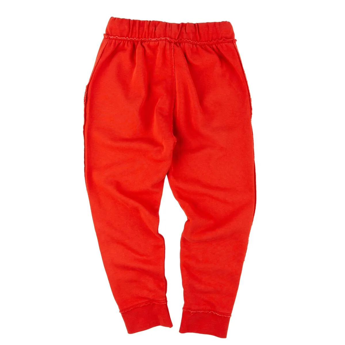 Ziggy Jogger Rainbow Handball